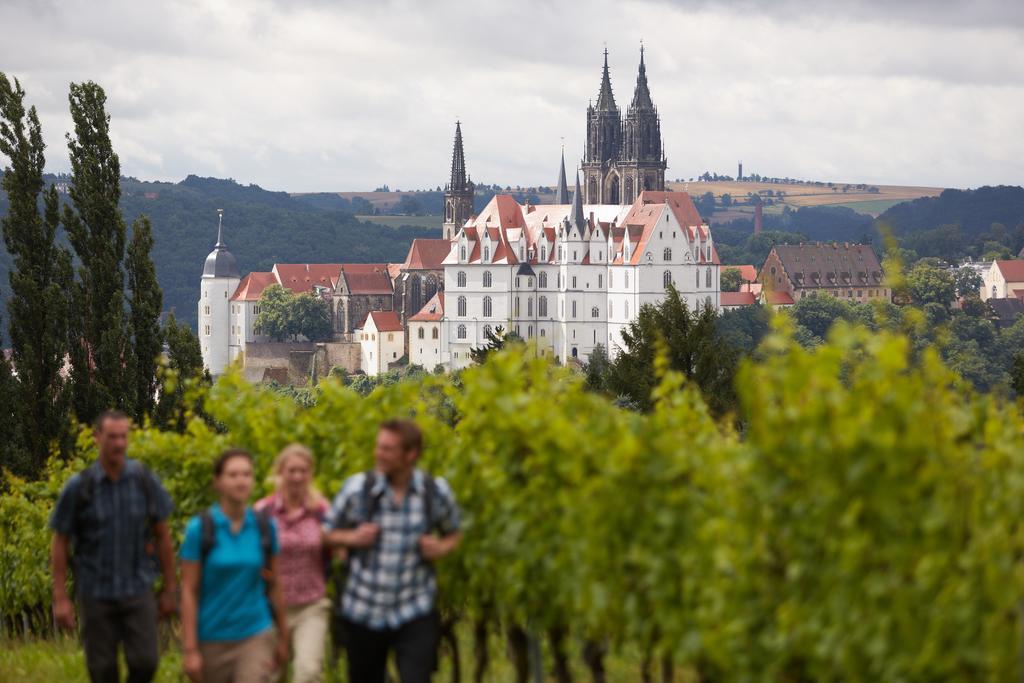 Готель Gastehaus Im Weingut Schloss Proschwitz Майсен Екстер'єр фото