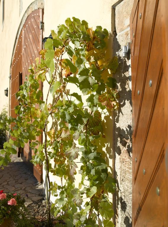 Готель Gastehaus Im Weingut Schloss Proschwitz Майсен Екстер'єр фото